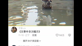 这就是语文老师讲的“插叙”吗！我悟了！