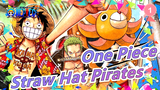 [One Piece/AMV] Reminiscing the Past of Straw Hat Pirates_1