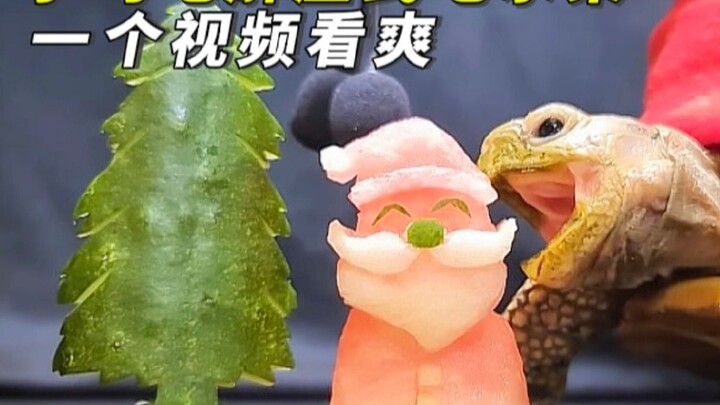 The little turtle celebrates Christmas and receives a special gift—it’s so heartwarming!