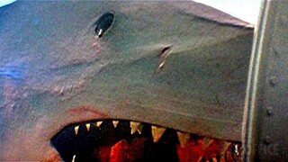 Shark takes revenge on aquatic park | Jaws 3-D | CLIP