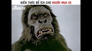 Kiến Thức Bổ Ích Cho Người Mua Xe