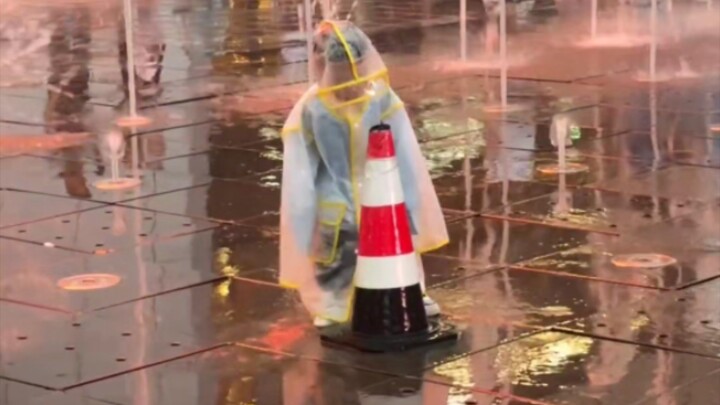 Coba aku lihat apa yang terjadi.