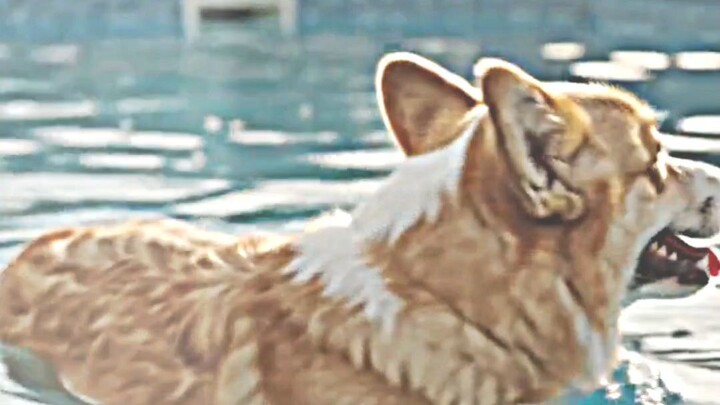 fuzzy bath