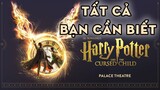 TẤT CẢ NHỮNG GÌ CẦN BIẾT VỀ HARRY POTTER "PHẦN 8"? - Tóm Tắt The Cursed Child | Harry Potter Series