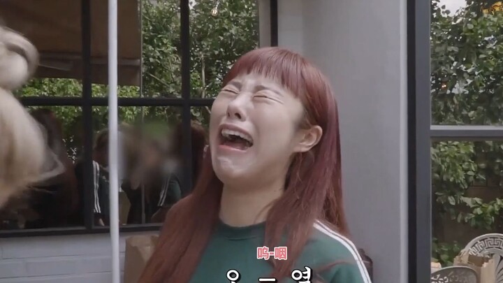 MAMAMOO-丁辉人简直是我每天的快乐源泉！进来品沙雕品种的可爱鬼！