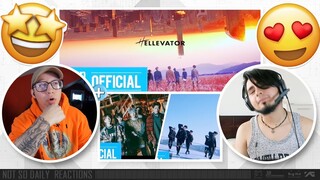 Stray Kids "Hellevator" M/V + "Grrr 총량의 법칙" + "Young Wings 어린 날개" Performance Video | NSD REACTION