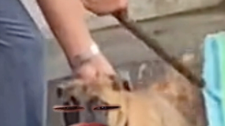 你洗扫把呢？？