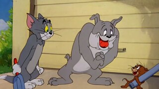 Tom and Jerry | Buddies and Lifes Compilation