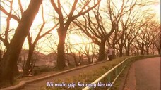 Operation Love - Kế hoạch cầu hôn - Vietsub - tập 2/11