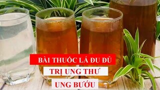 BÀI THUỐC LÁ ĐU ĐỦ TRỊ BỆNH UNG THƯ / UNG BƯỚU