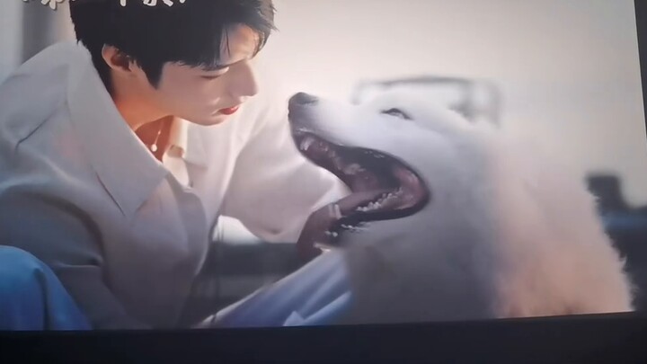 โฆษณาก่อนฉายหนัง Article 20 ของหลิว เหยาเหวิน ซึ่งสงวนไว้สำหรับแฟน ๆ ถูกตัดออกมาดีมาก! สวัสดี Han Yu