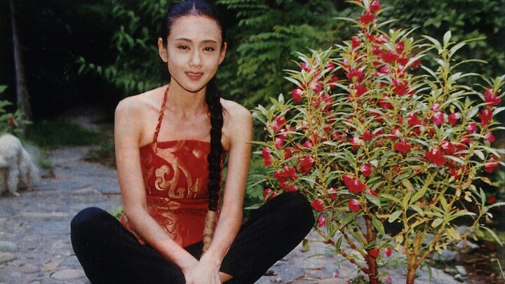 “我别无所求，只想被阳光晒透”【杨丽萍的浪漫花园】