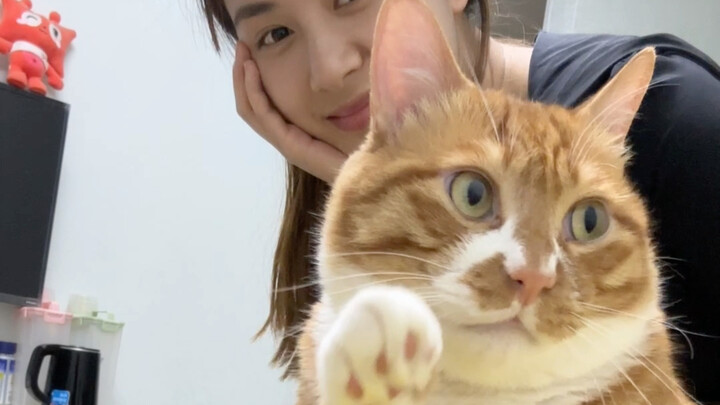 Kenapa kucing ini cari gara-gara? Aku sama sekali nggak ngapa-ngapain!