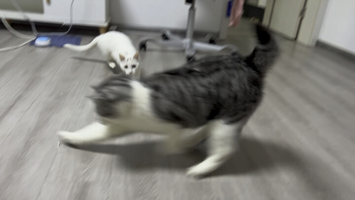 สองแนวคิดการศึกษาที่แตกต่างกัน