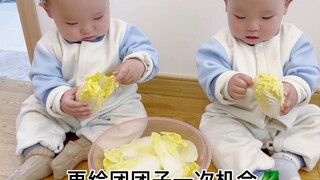 养了你俩一年，是时候为家里分担点家务了～