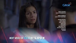 The Seed Of Love: (Week 11)