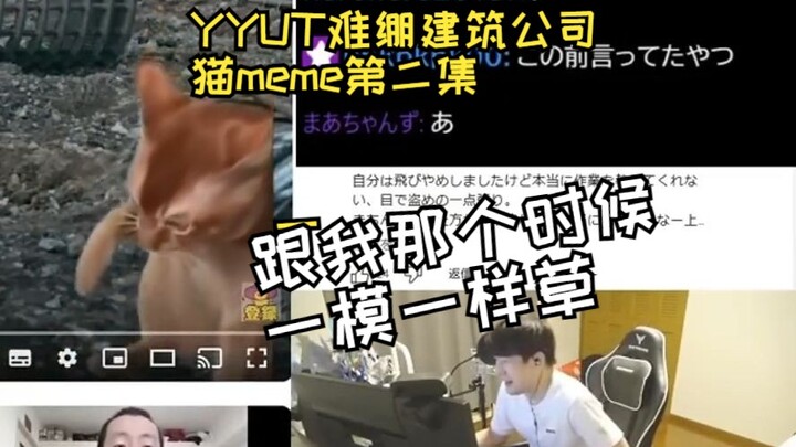 【เนื้อสด】แมวมีมวงการสถาปัตยกรรมสุดฮาจาก YYUT (ตอนที่ 2) | แมวมีม