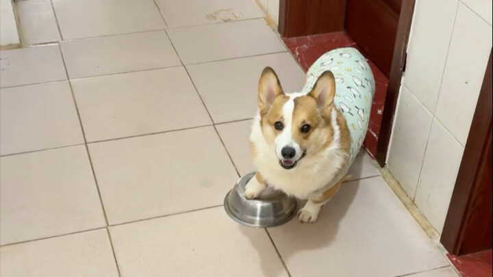 Gặp khó khăn thì cắn miếng đệm thôi