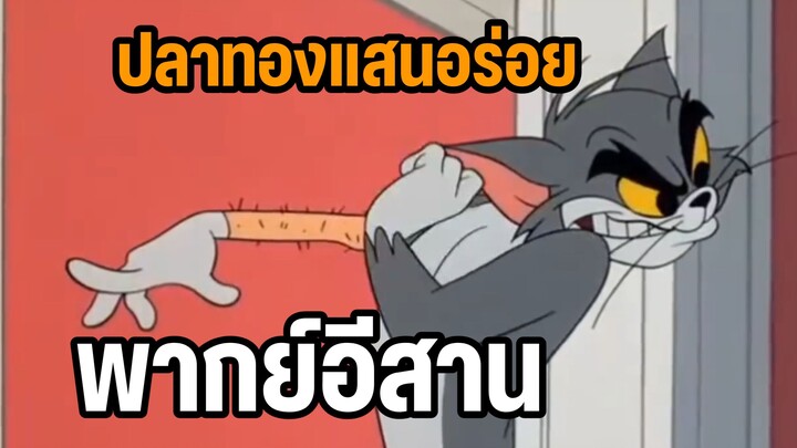 แผนการชิงปลาทอง ทอมแอนด์เจอร์รี่ พากย์อีสาน