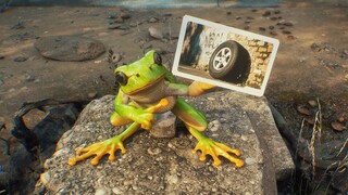 Frog, why do you need the tire?