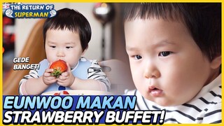 [IND/ENG] Surga buat Eunwoo!! PRASMANAN STROBERI🍓🍓 | The Return of Superman | KBS WORLD TV 230423