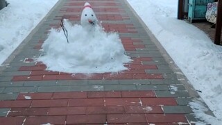 Goodbye, snowman