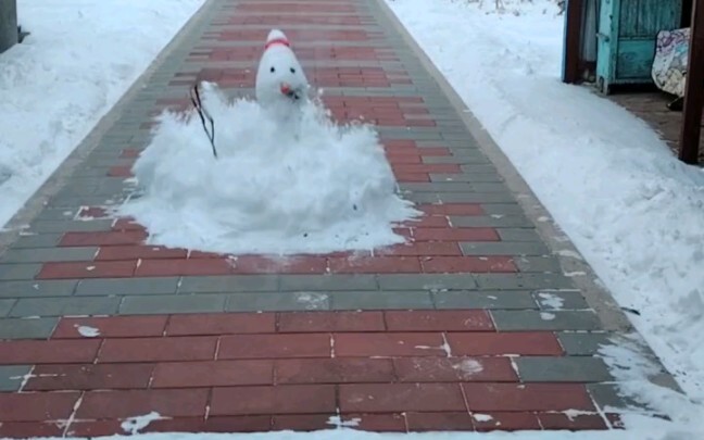 Goodbye, snowman