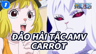 [Đảo Hải Tặc AMV] Tôi mê Carrot, người gì đâu mà vừa dễ thương vừa chiến đấu giỏi!_1