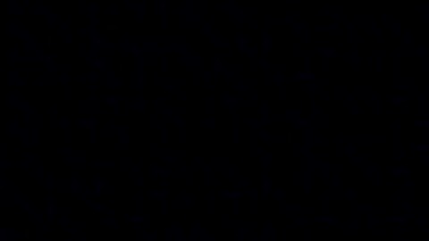 Câu cá vạn cân-fish it