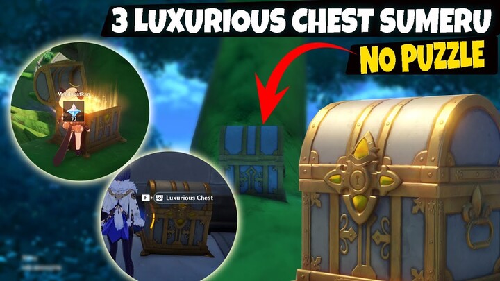 3 Easy Luxurious Chest (NO PUZZLE) SUMERU Akademiya - Genshin Impact v3.0