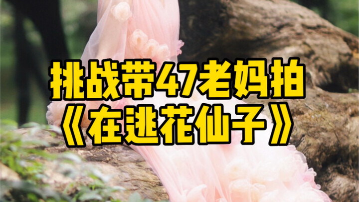 用蚊帐做百花裙，仙不仙不敢说，但是肯定防蚊
