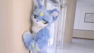 السلوك المحير للقطط التي تشارك في الألعاب الرياضية لأول مرة (2)