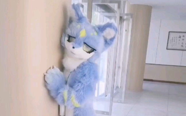 Perilaku Bingung Kucing yang Pertama Kali Mengikuti Pesta Olahraga (2)