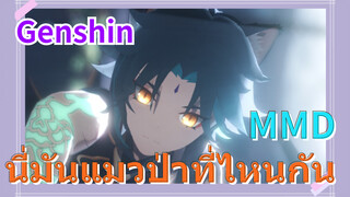 MMD นี่มันแมวป่าที่ไหนกัน