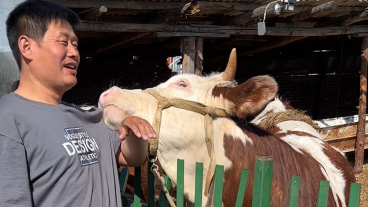 After 27 years of life, I finally understand what "bullshit" really means!