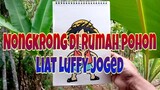 Curat-coret di rumah pohon, bikin Luffy joged 😁
