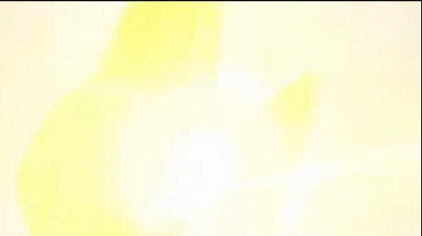 เหตุใด Dyna's Garnet Bombing จึงถูกใช้เพียงสามครั้งในทีวี แต่มันกลายเป็นทักษะระดับ S เพียงทักษะเดียว