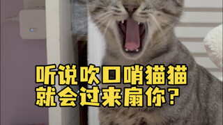 Hóa ra mèo thật sự sẽ đến khi bạn huýt sáo gọi chúng. Buồn cười quá hahahaha #狸花猫#Mèo nhà bạn cũng l