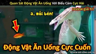 Quan Sát Những Loài Động Vật Ăn Uống Bon Miệng Cực Thú Vị || Review Giải Trí Đời Sống