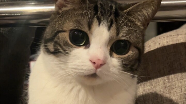 I’m going to stay at my aunt’s place for two days～