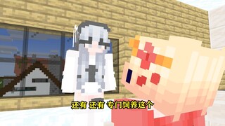 过年亲戚来了，就这样说是吧