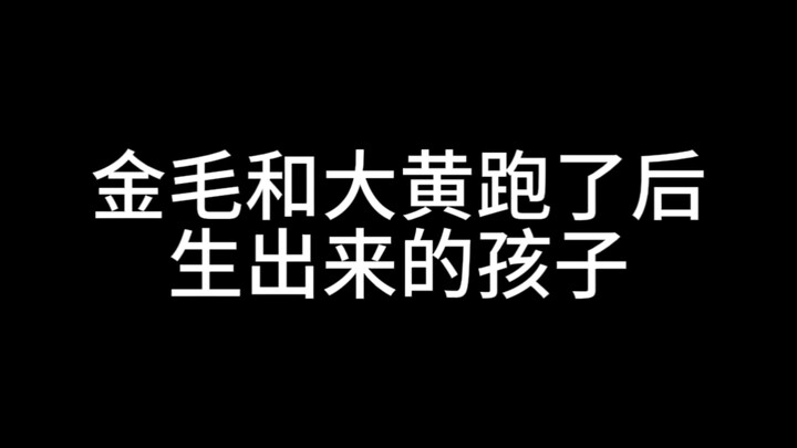 The blind boxes of the Golden Retriever and Big Yellow still feel like a dream.