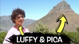 One Piece Live Action Luffy Talks To Pica