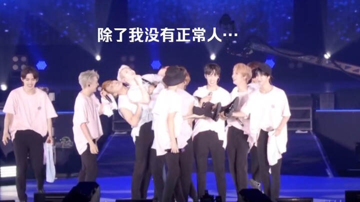 《在最疯的年纪遇到更癫的队友》