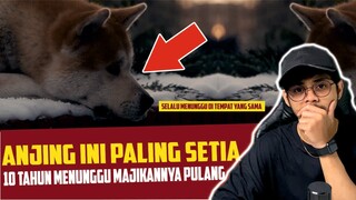 KISAH NYATA!!!  PULUHAN TAHUN MENANTIKAN TUANNYA UNTUK KEMBALI PULANG DAN MEMELUKNYA