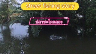 street fishing story ตรเหยื่อปลอมปลาชะโดคลอง