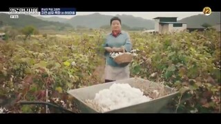 Laborhood on Hire ep 8 (indosub) end