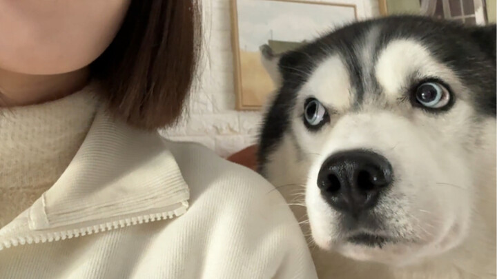 Lạnh chiến, đừng làm phiền