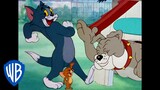 Tom & Jerry em Português | Brasil | A Noite Divertida | WB Kids