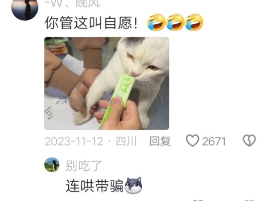 Sold myself for a single cat treat? Cat: No big deal~ It’s only ten 100-year lifetimes, after all~